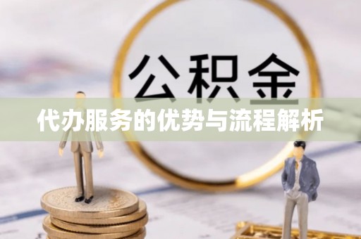 南京代办服务的优势与流程解析