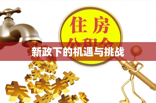 南京新政下的机遇与挑战