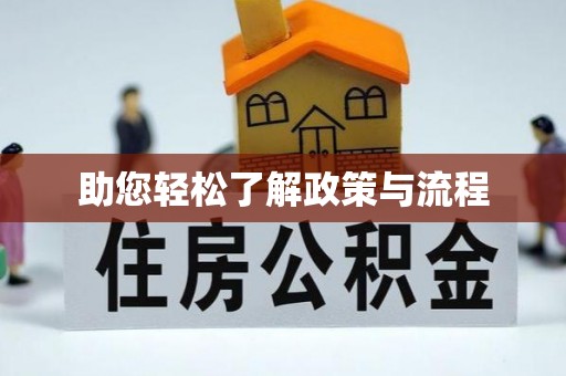 南京助您轻松了解政策与流程