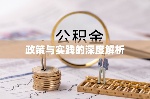 南京政策与实践的深度解析