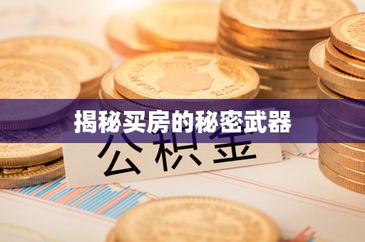 南京揭秘买房的秘密武器