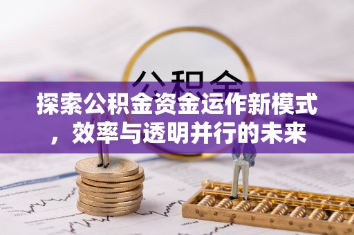 南京探索公积金资金运作新模式，效率与透明并行的未来