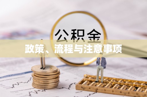 南京政策、流程与注意事项