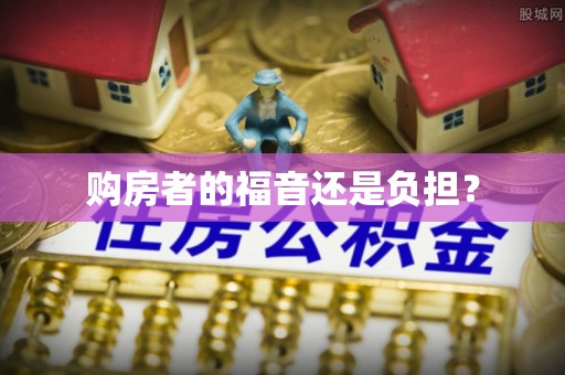 南京购房者的福音还是负担？