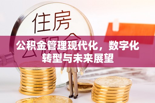 南京公积金管理现代化，数字化转型与未来展望