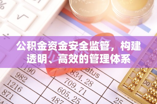 南京公积金资金安全监管，构建透明、高效的管理体系