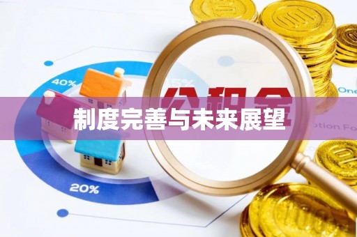 南京制度完善与未来展望