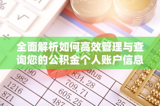 南京全面解析如何高效管理与查询您的公积金个人账户信息