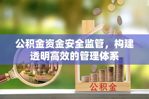南京公积金资金安全监管，构建透明高效的管理体系