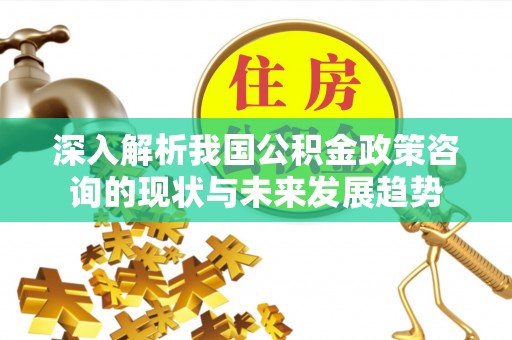 南京深入解析我国公积金政策咨询的现状与未来发展趋势