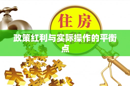 南京政策红利与实际操作的平衡点