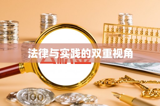 南京法律与实践的双重视角