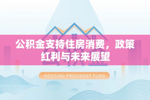 南京公积金支持住房消费，政策红利与未来展望