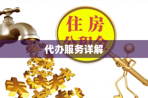 南京代办服务详解