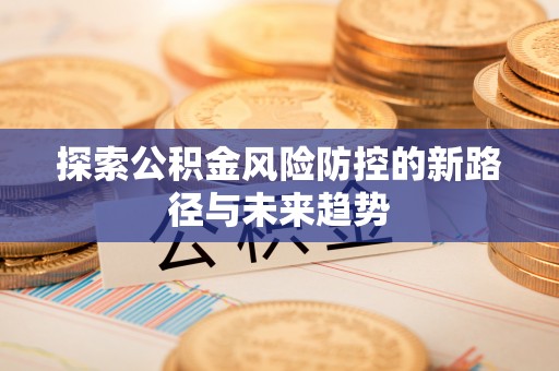 南京探索公积金风险防控的新路径与未来趋势