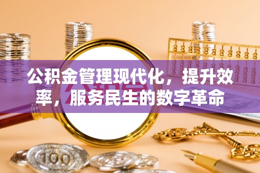 南京公积金管理现代化，提升效率，服务民生的数字革命