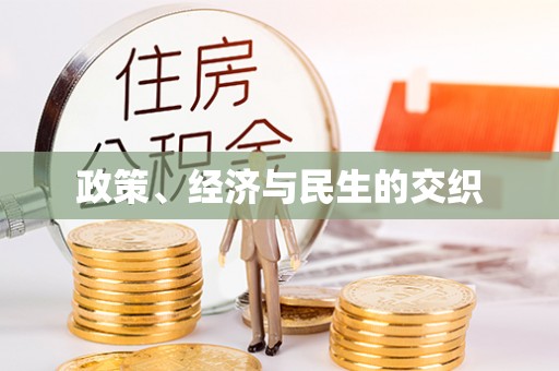南京政策、经济与民生的交织