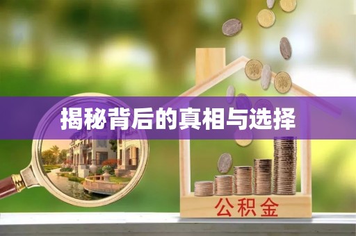 南京揭秘背后的真相与选择