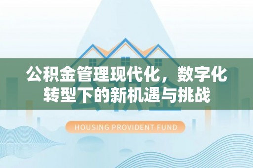 南京公积金管理现代化，数字化转型下的新机遇与挑战
