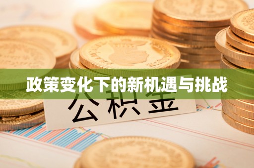 南京政策变化下的新机遇与挑战
