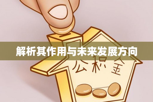 南京解析其作用与未来发展方向