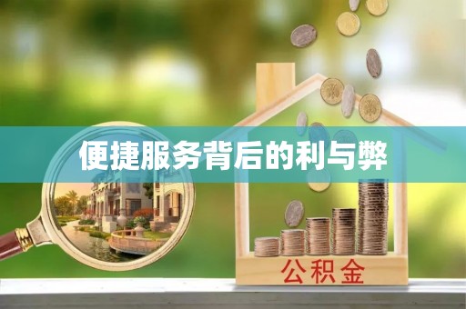 南京便捷服务背后的利与弊